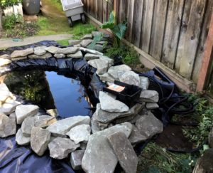 How to Build a Backyard In-Ground Garden Pond with Waterfall