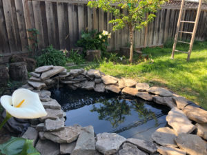 How to Build a Backyard In-Ground Garden Pond with Waterfall